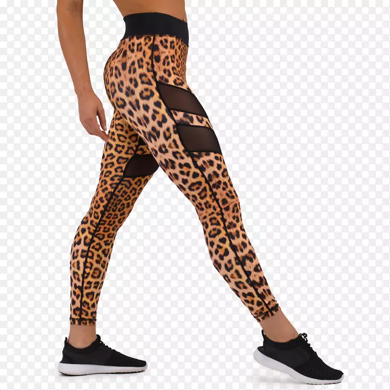 裤腿，豹子，运动服，瑜伽裤，紧身衣-豹子