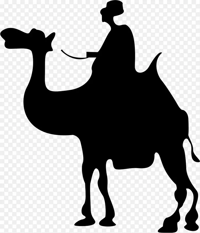 骆驼轮廓-骆驼