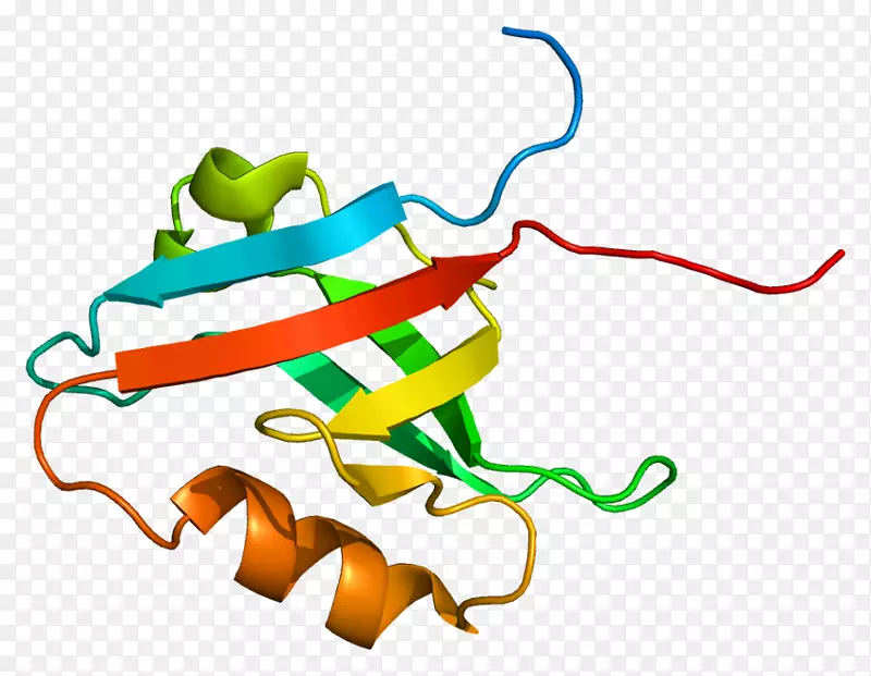 钠-氢交换调节辅因子2蛋白氢氘交换溶质载体家族