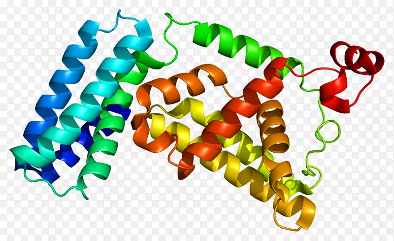 鸟嘌呤核苷酸交换因子RAB5a三磷酸鸟苷