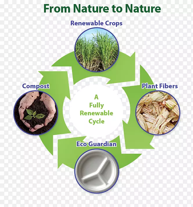 生物降解环保型材料堆肥-NO对发泡胶的影响