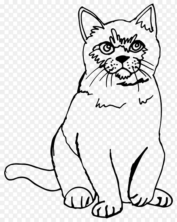 波斯猫连体猫素描-猫