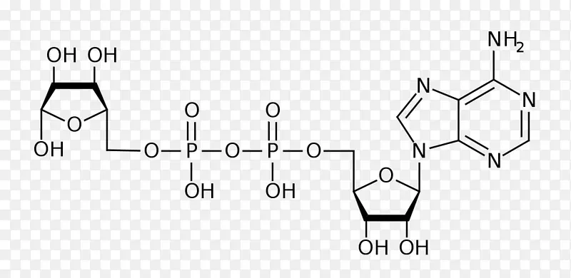 二磷酸腺苷核糖三磷酸腺苷