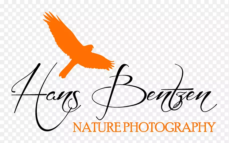 野生动物摄影自然摄影师标志-自然摄影日