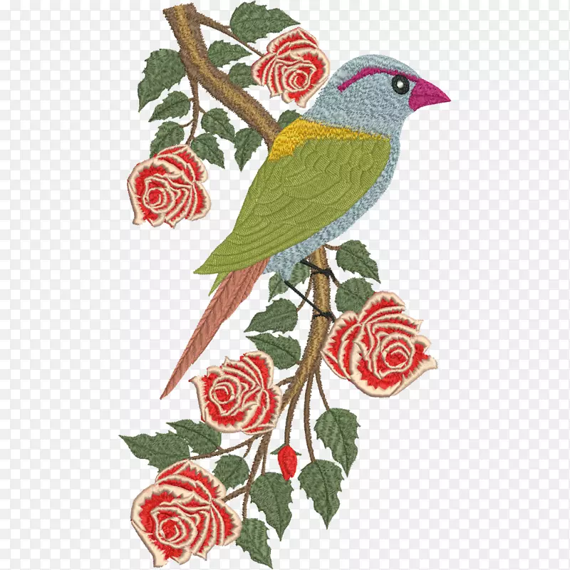鸟雀钻石零售花园玫瑰美丽的萤火虫鸟