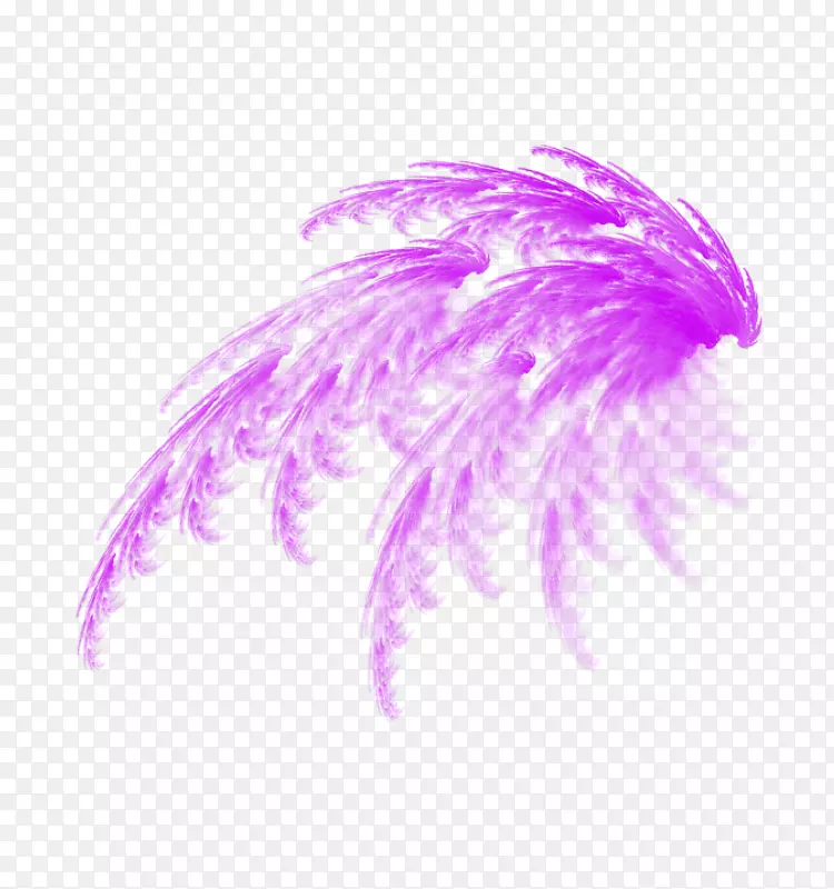 透明和半透明编辑计算机图标.紫色羽毛