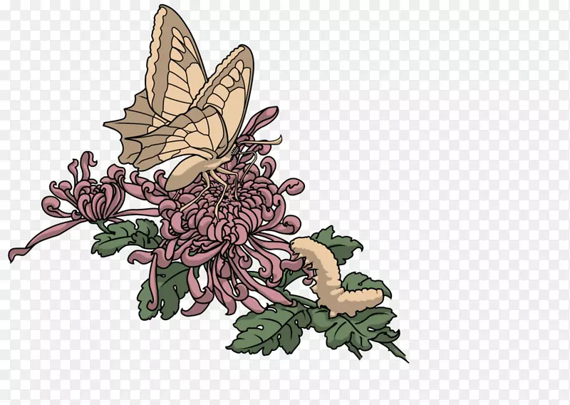 昆虫开花植物传说中的生物