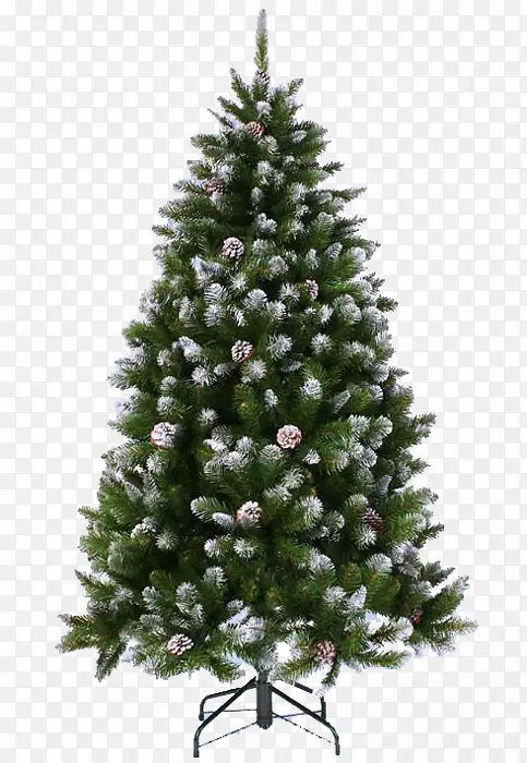 圣诞树云杉针叶松树-新年树
