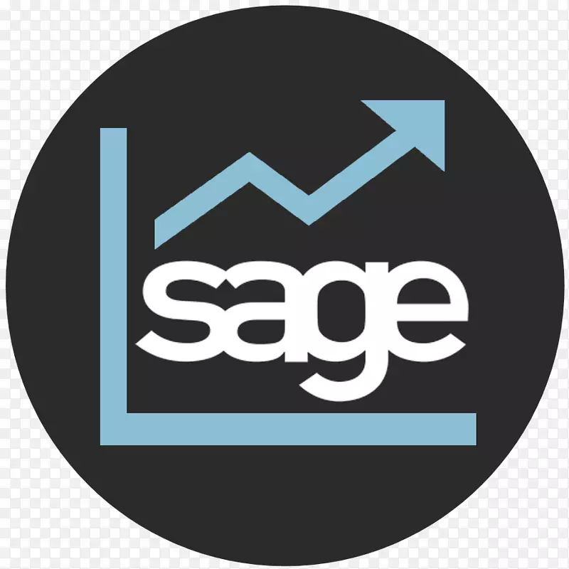 SAGE集团计算机软件ciel sage 50会计软件-程序设计