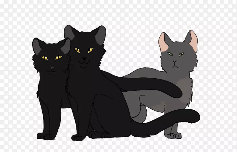 孟买猫黑猫科拉特猫家养短毛猫