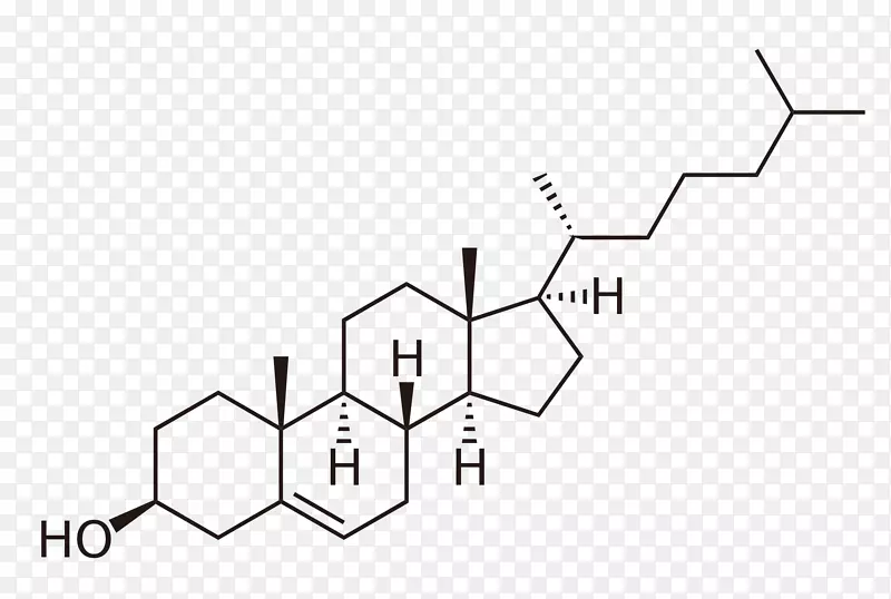 胆固醇植物甾醇脂类固醇字体设计