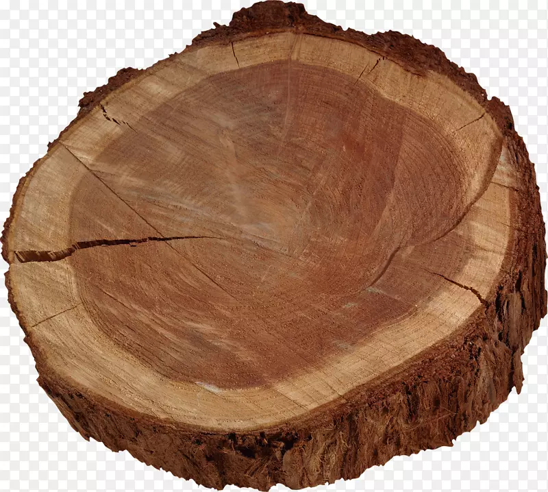 树干木材