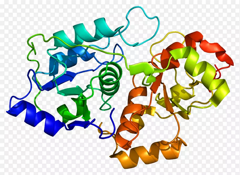 蛋白质mt-Nd1亚硝基化锰基因