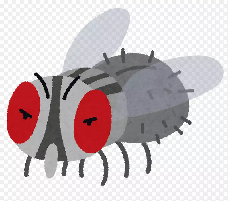 蚊虫防治果蝇-蚊虫