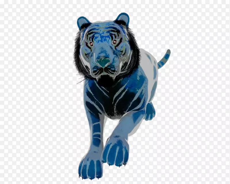 虎钴蓝野生动物陆生动物-老虎