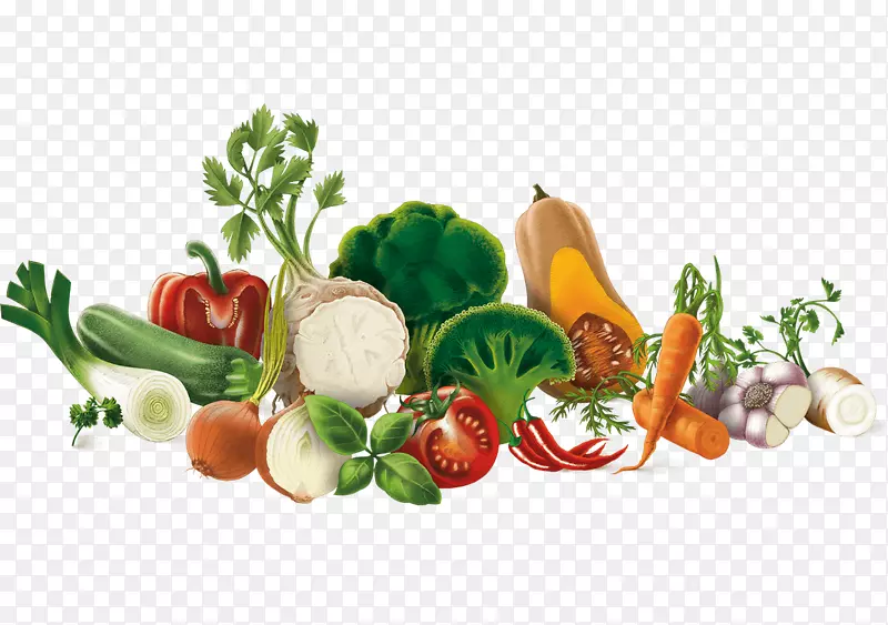 素食、营养食品、纯素营养、替代性保健服务-umami