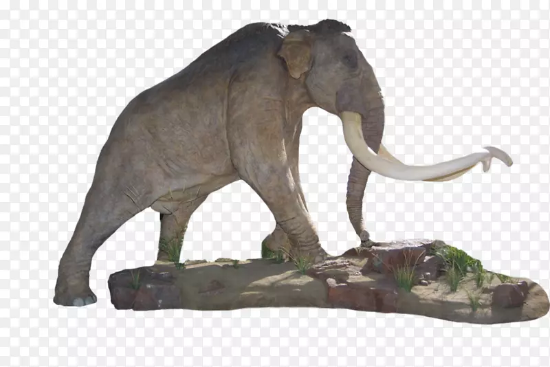 印度象非洲象猛犸象湖象牙雕刻-莫伊日