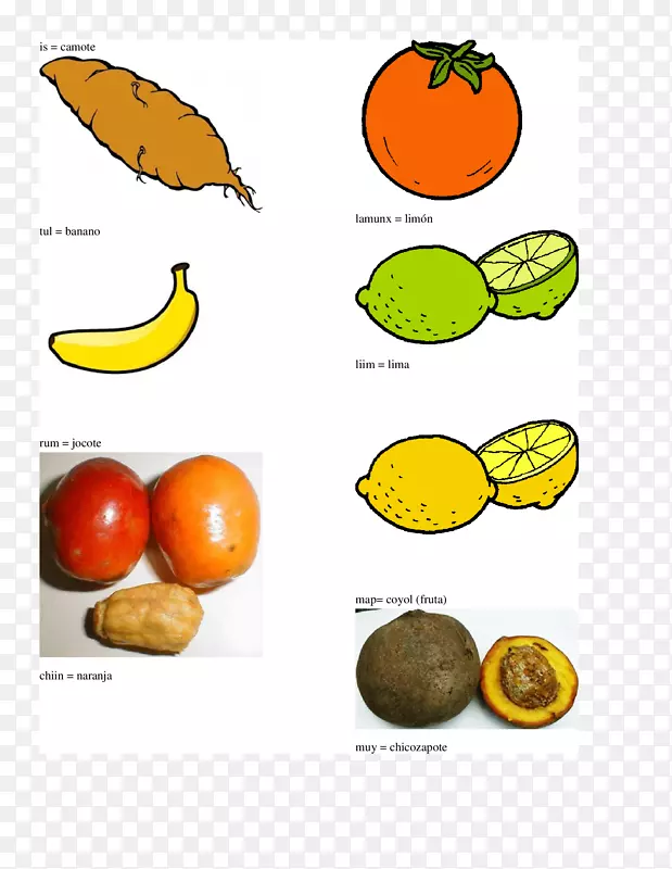 橘子，素食料理，橙色，Q‘eqchi’语言-橙色