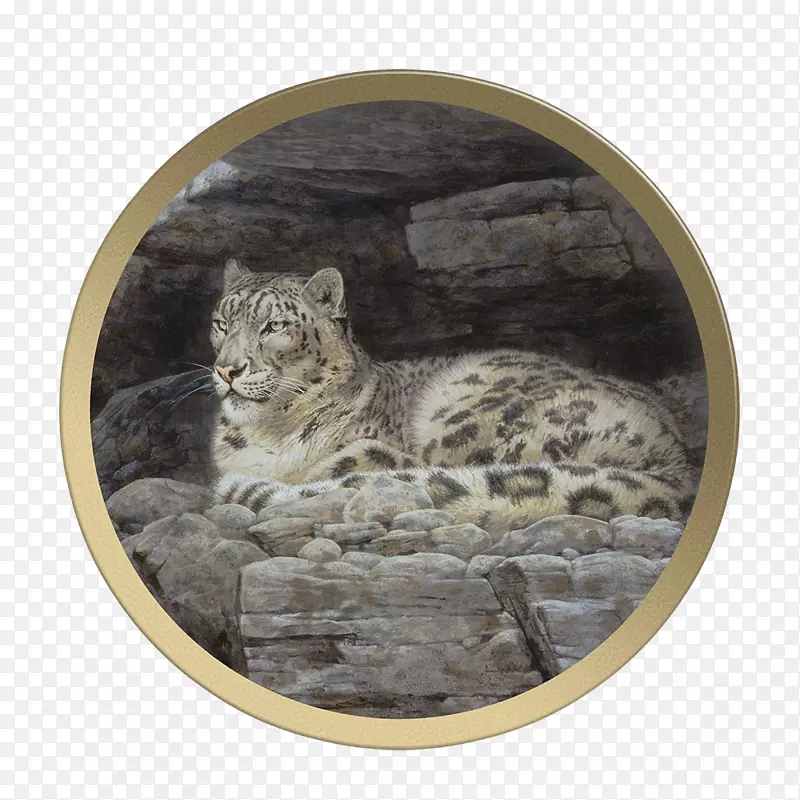 雪豹，猫科，大猫，同伴的动物艺术-豹子