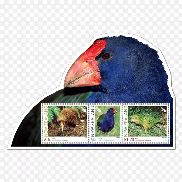 金刚鹦鹉广告动物喙盖邮票