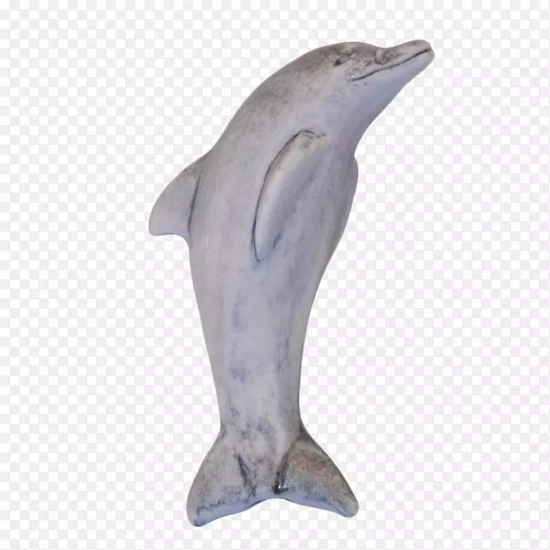 普通宽吻海豚图库溪短喙普通海豚