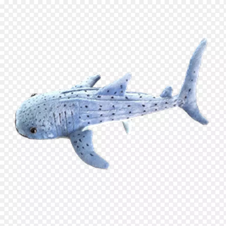 海豚-鲨鱼