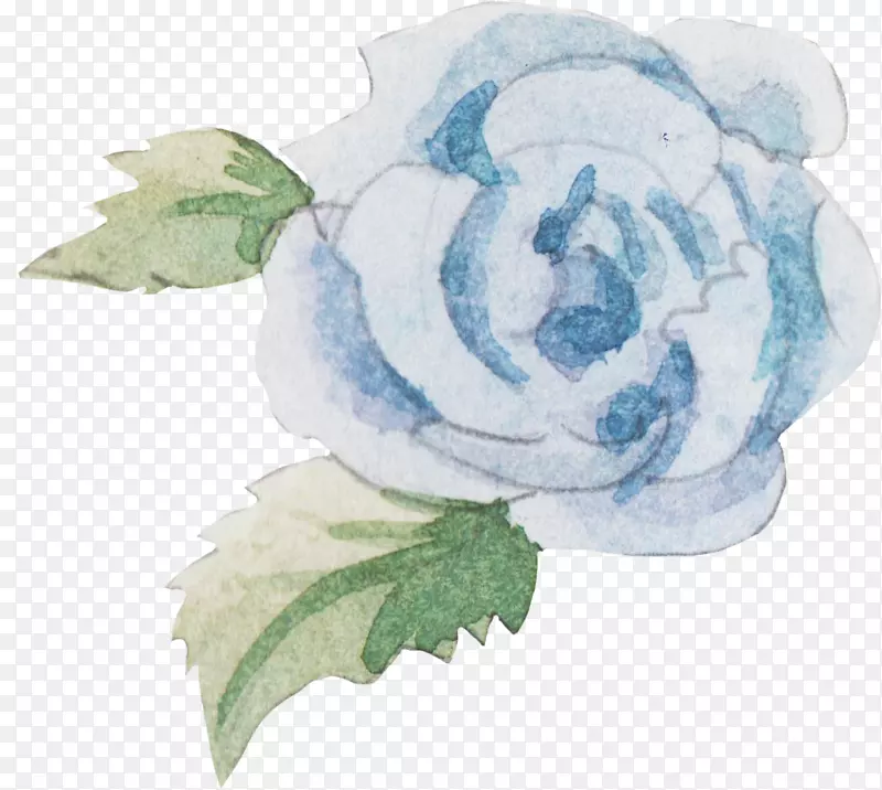 卷心菜玫瑰花蓝玫瑰针织花纹