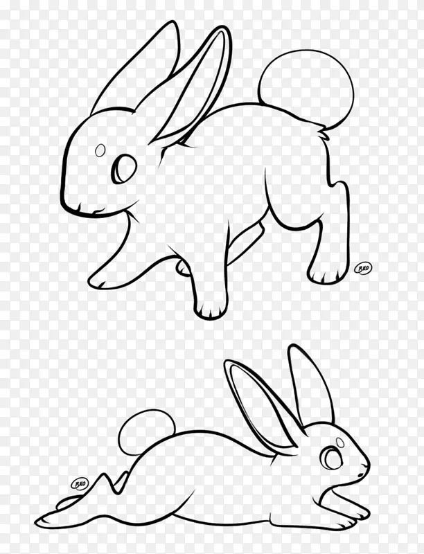 家兔越野艺术兔艺人-加查工作室朋友