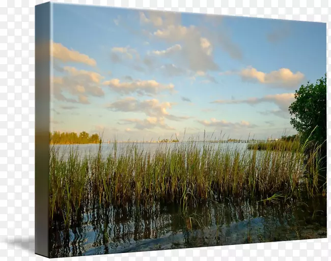 沼泽帆布印刷生态画框-贝弗利沼泽艺术