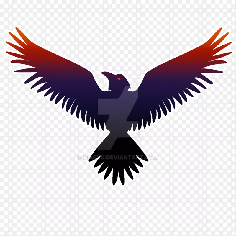 巴尔的摩乌鸦常见的乌鸦NFL-乌鸦标志