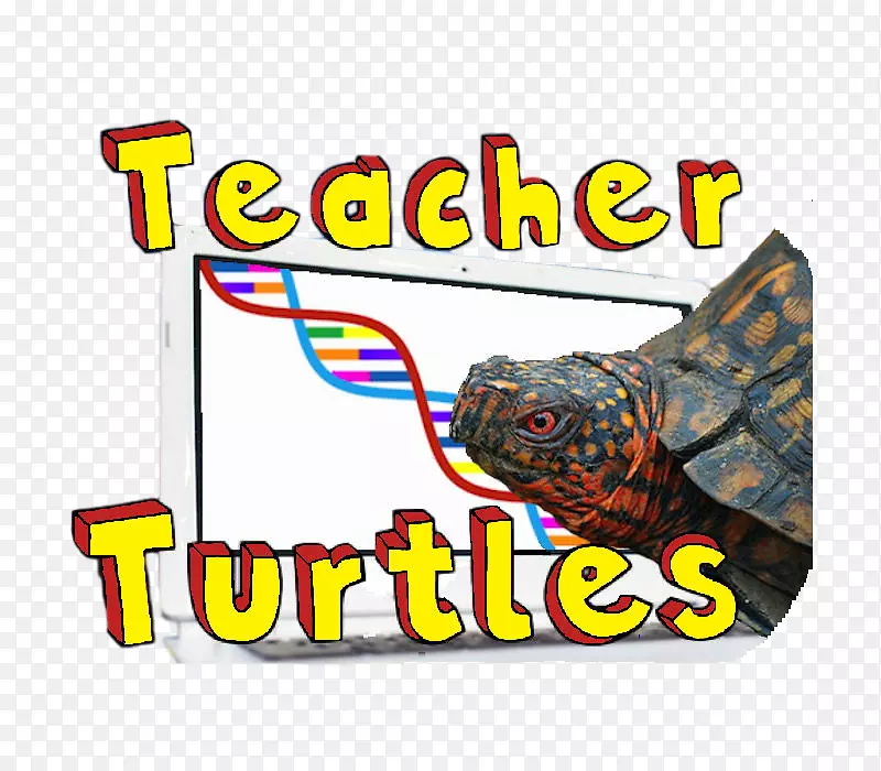 标志项目教师品牌-海龟材料