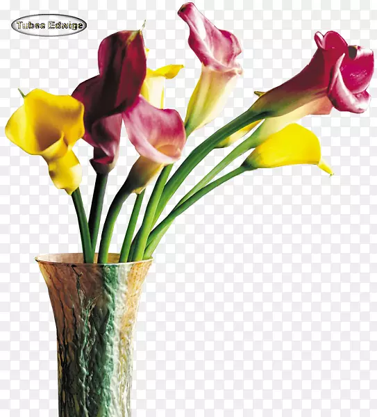 花卉设计、切花、虹膜家族花瓶-花卉