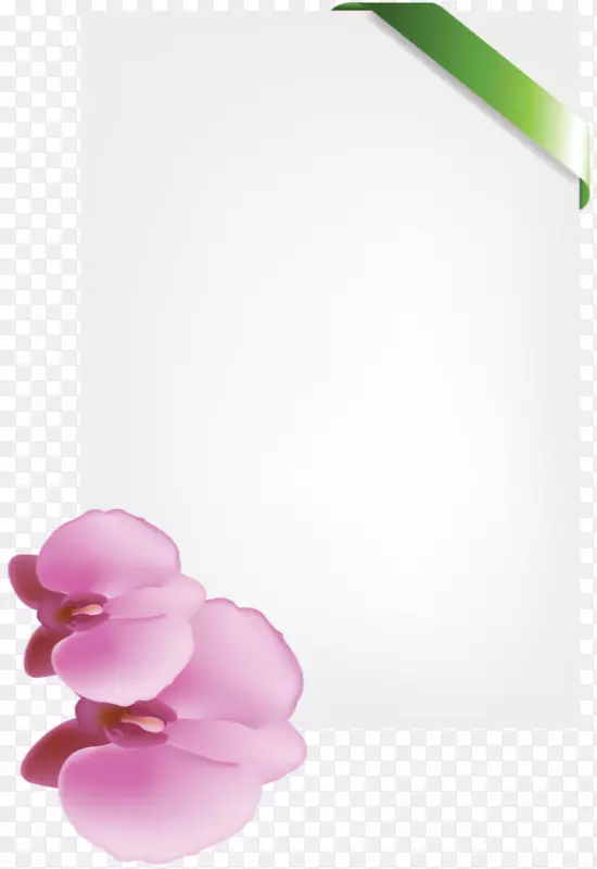 花瓣桌面壁纸玫瑰系列设计