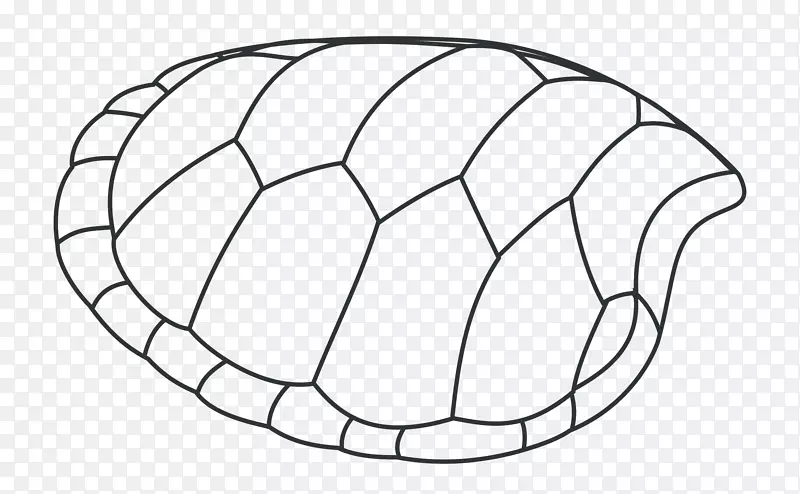 龟壳画龟夹艺术-绿壳