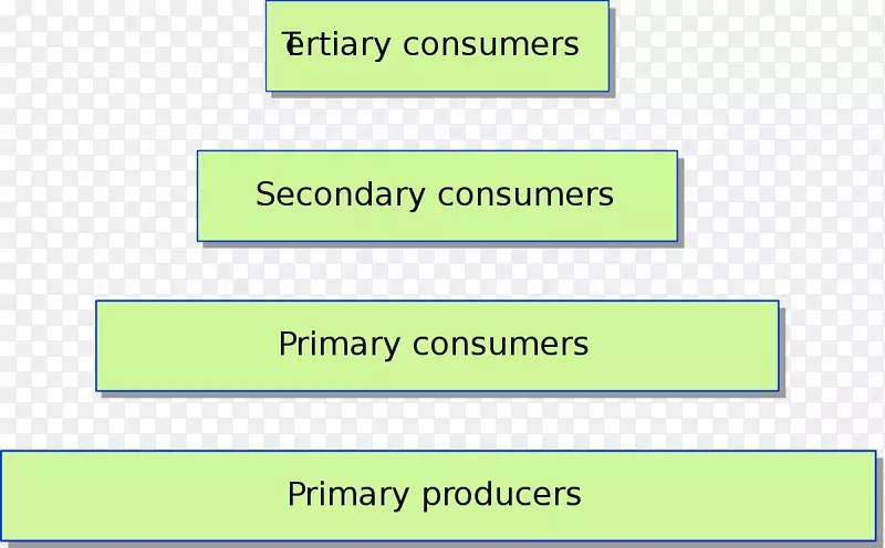 营养级生态金字塔生物量生态初级生产者-营养金字塔