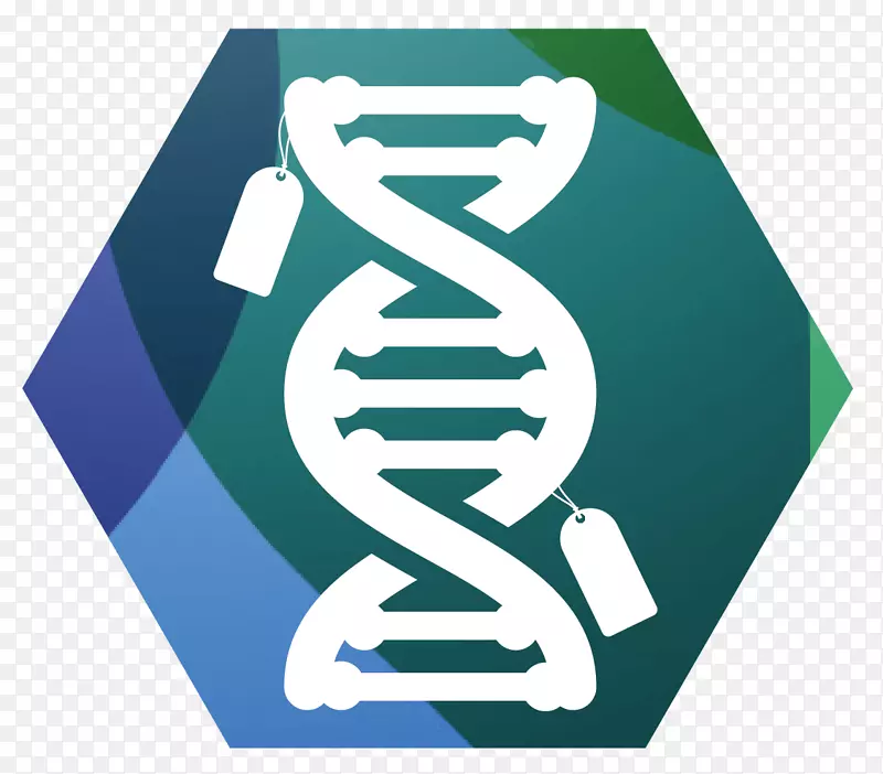 表观遗传学DNA甲基化突变