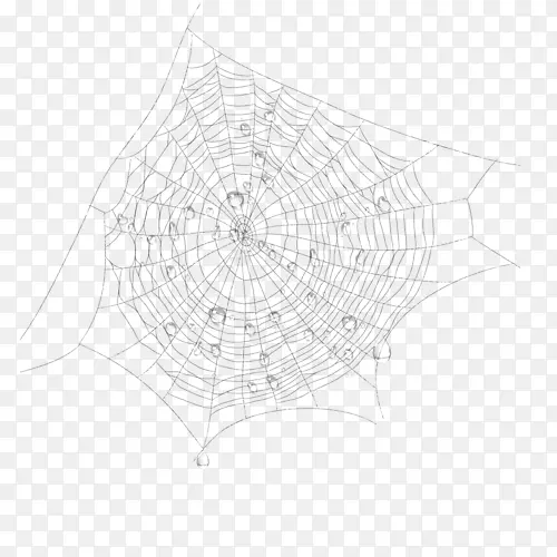 蜘蛛网线图案-蜘蛛