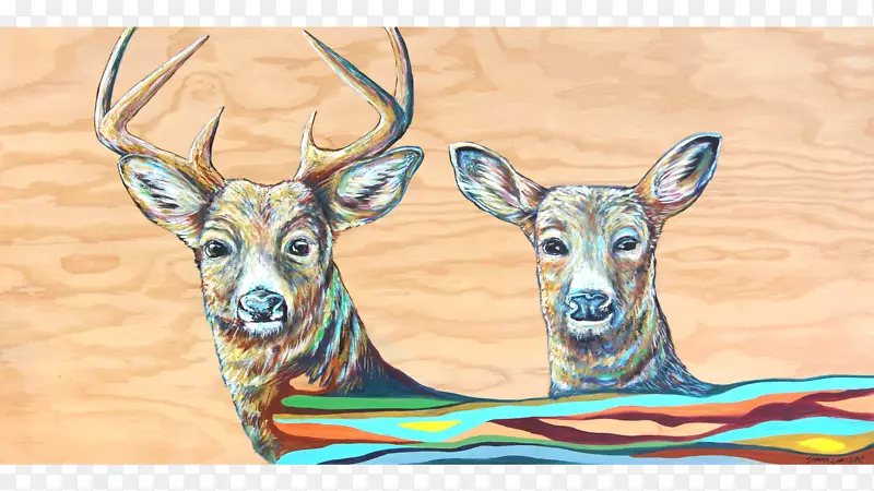 鹿鹿群野生动物-鹿