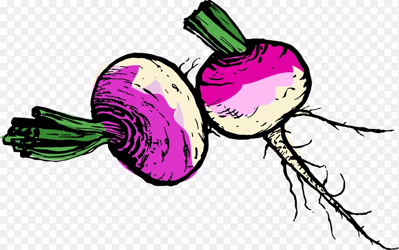 萝卜类蔬菜马铃薯块茎剪贴画-蔬菜