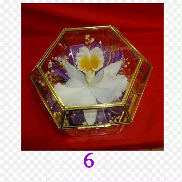 阿拉莫斯花瓣瓷长方形兰花-兰花