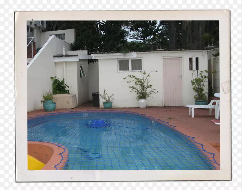 游泳池后院物业-家庭花园