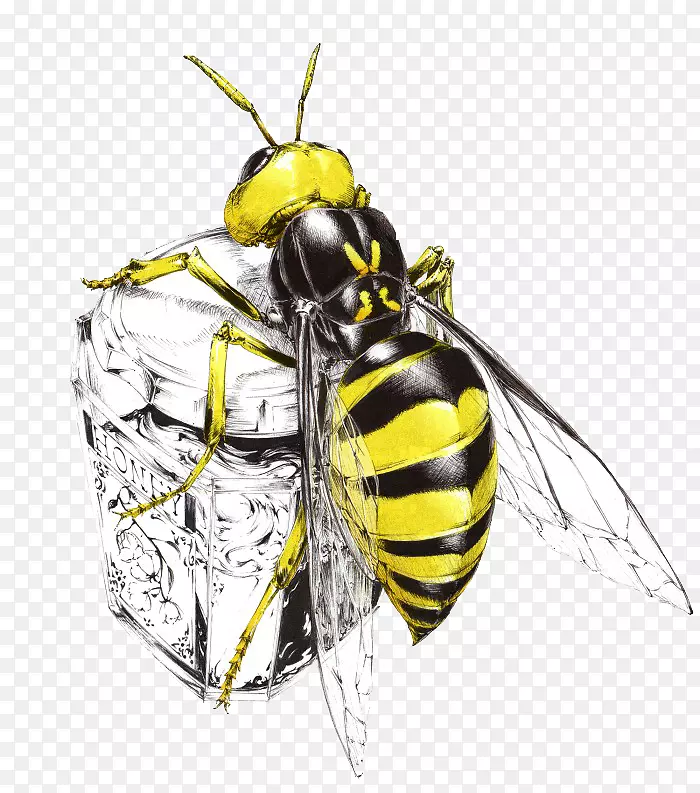蜜蜂、黄蜂、昆虫艺术-蜜蜂