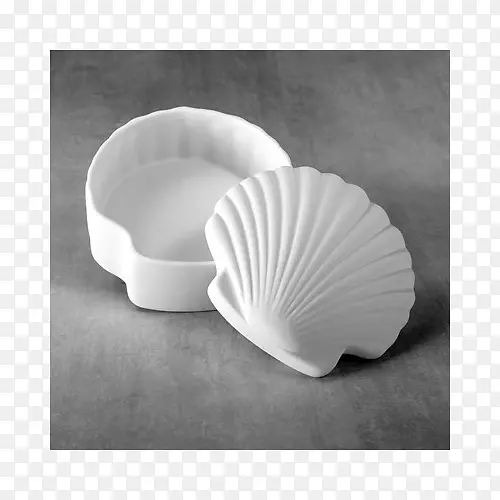 海贝壳材料-海贝壳
