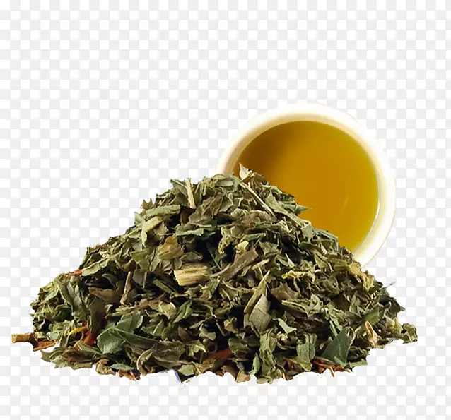 Nilgiri茶hōJicha茶袋薄荷茶