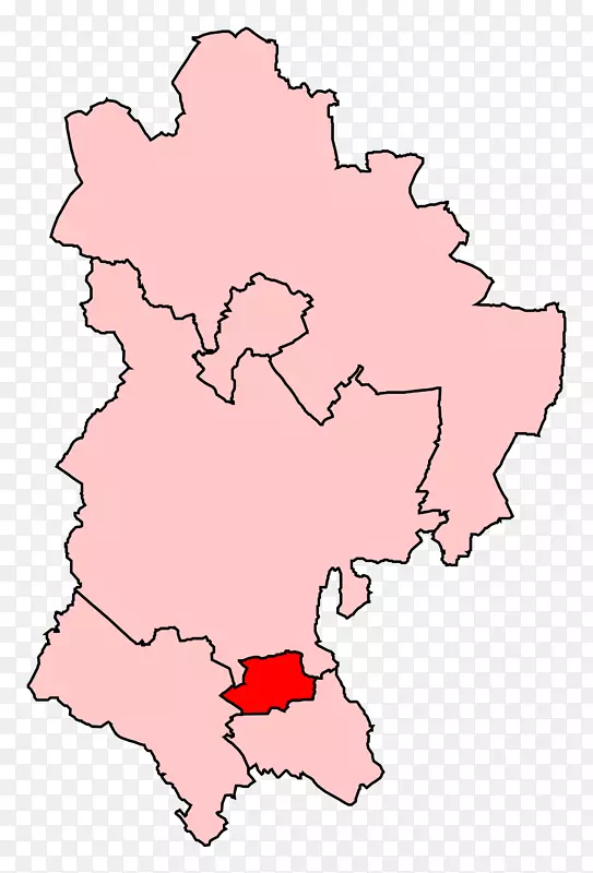 中央贝德福德郡德文郡北康沃尔选区-英国青年议会