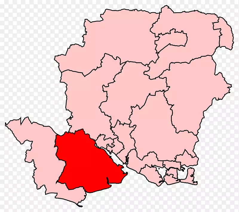 南安普敦新林，东汉普郡选区-英国青年议会