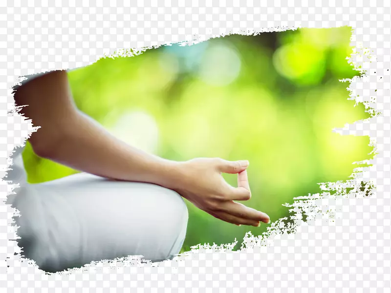 瑜伽替代健康服务解毒冥想-瑜伽