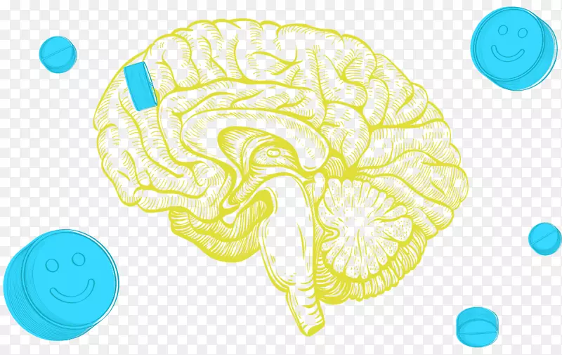 受刺激的大脑：利用非侵入性脑刺激来增强认知能力-人脑神经系统解剖-脑