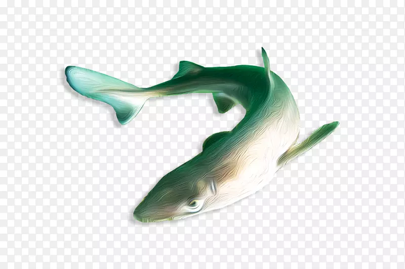 方形鲨鱼海豚海洋生物动物群-Kamov ka25