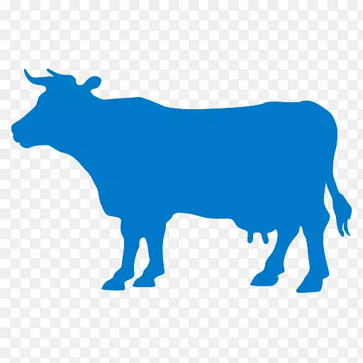 肉牛，赫里福德牛，安格斯牛，露天公路